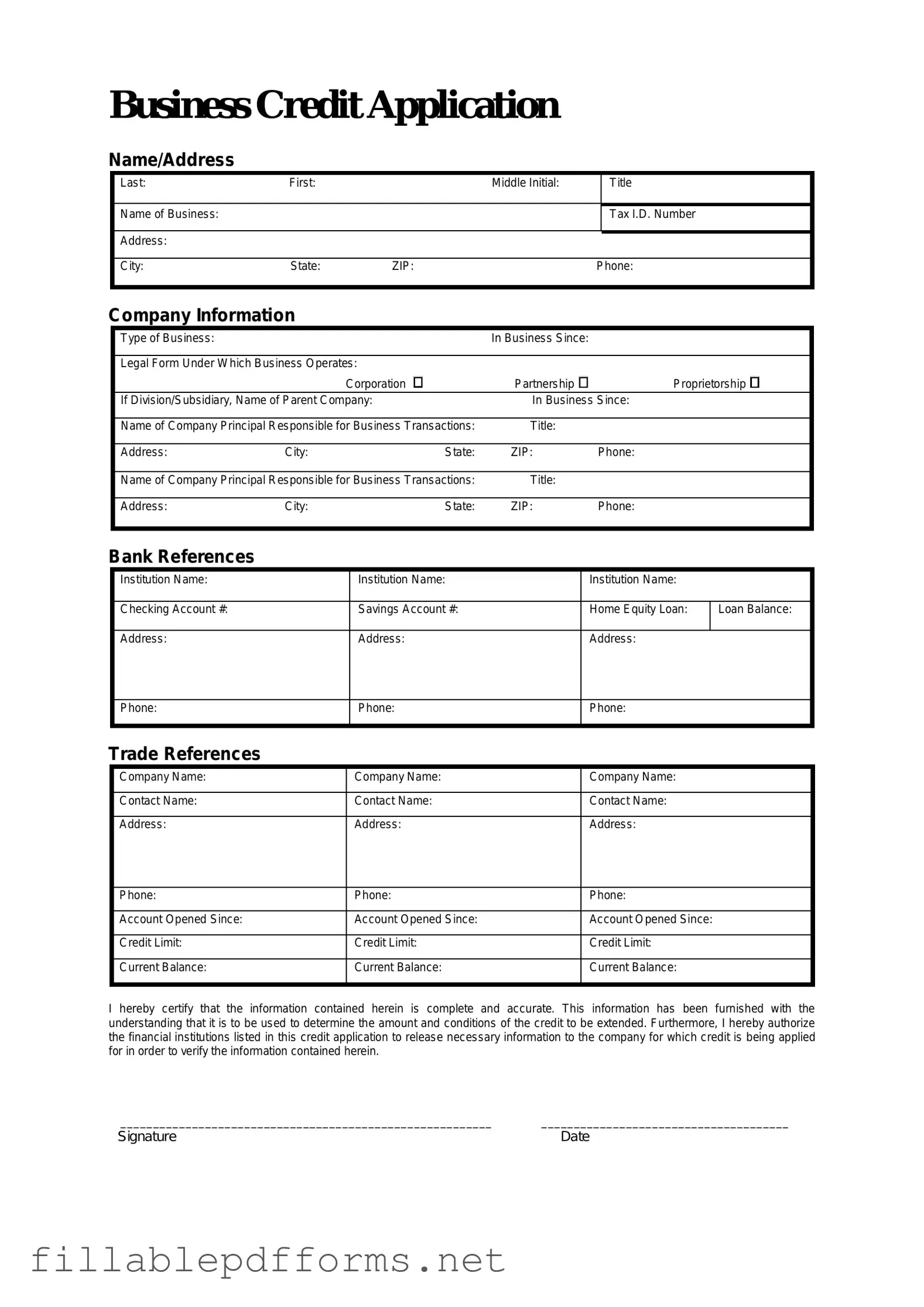 Business Credit Application PDF Template