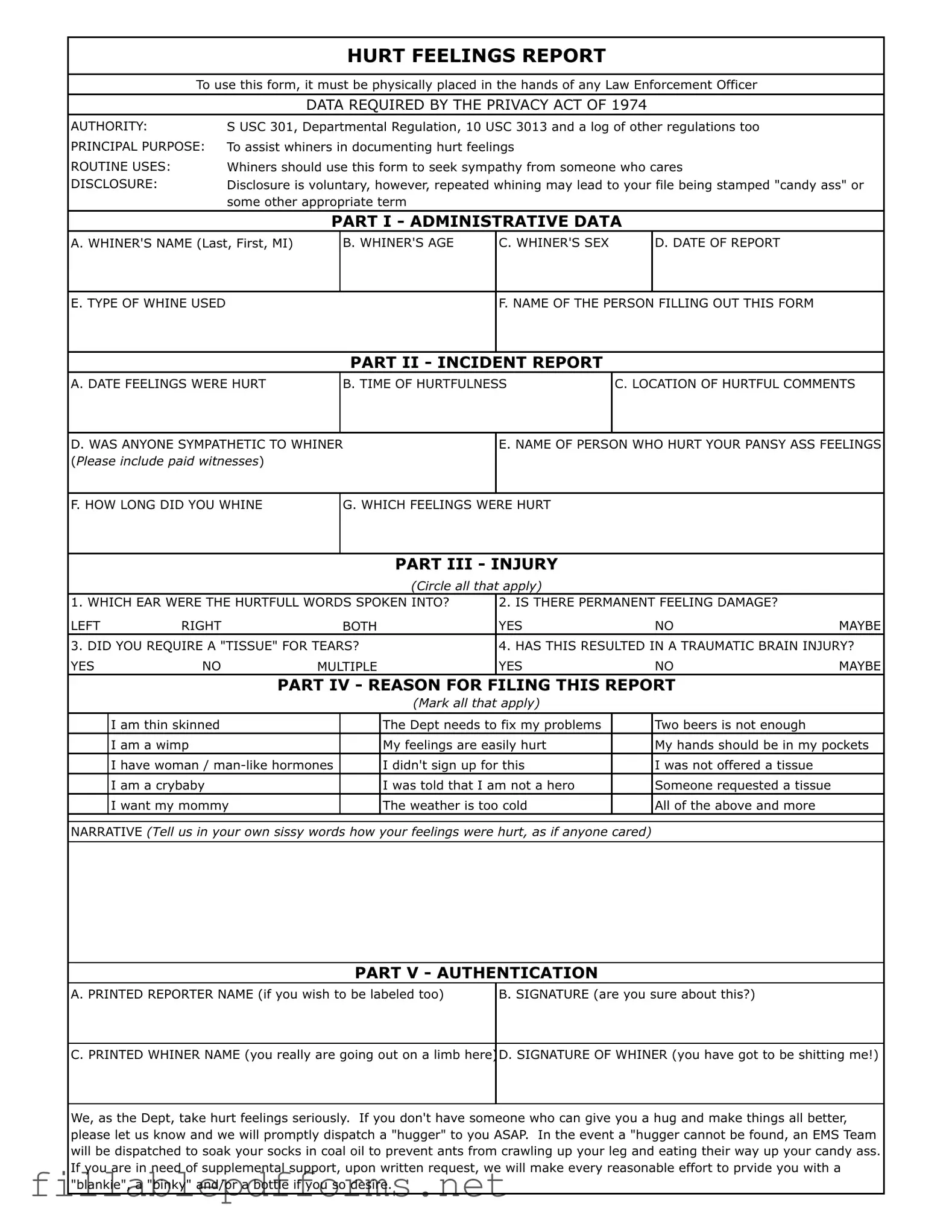 Hurt Feelings Report PDF Template