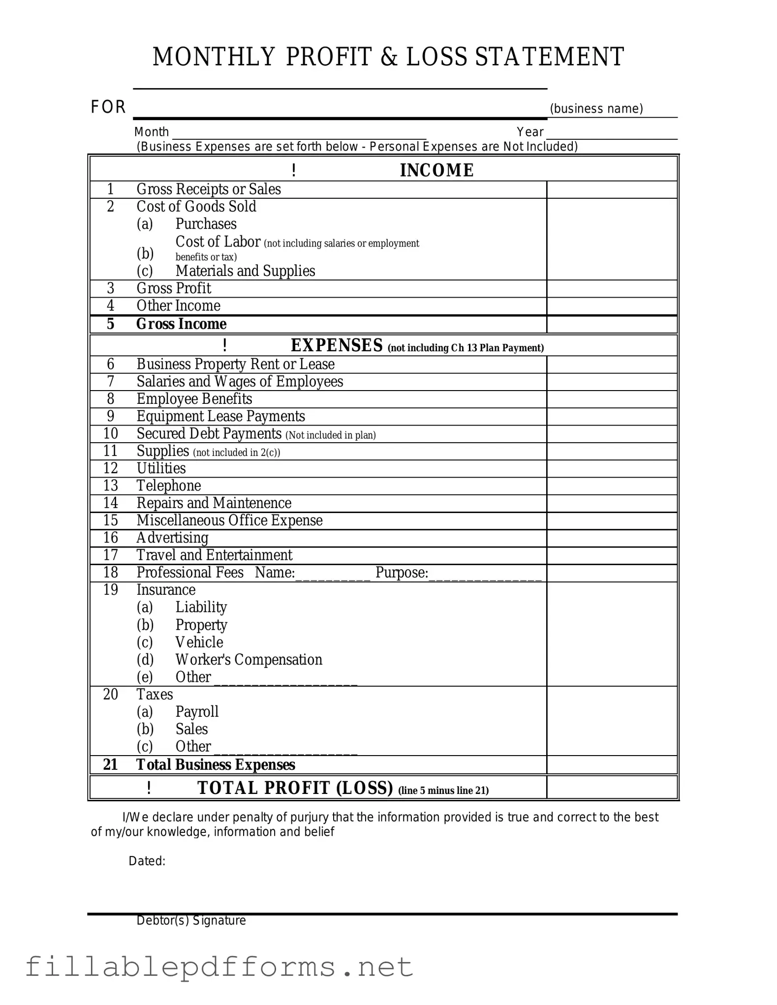 Profit And Loss PDF Template