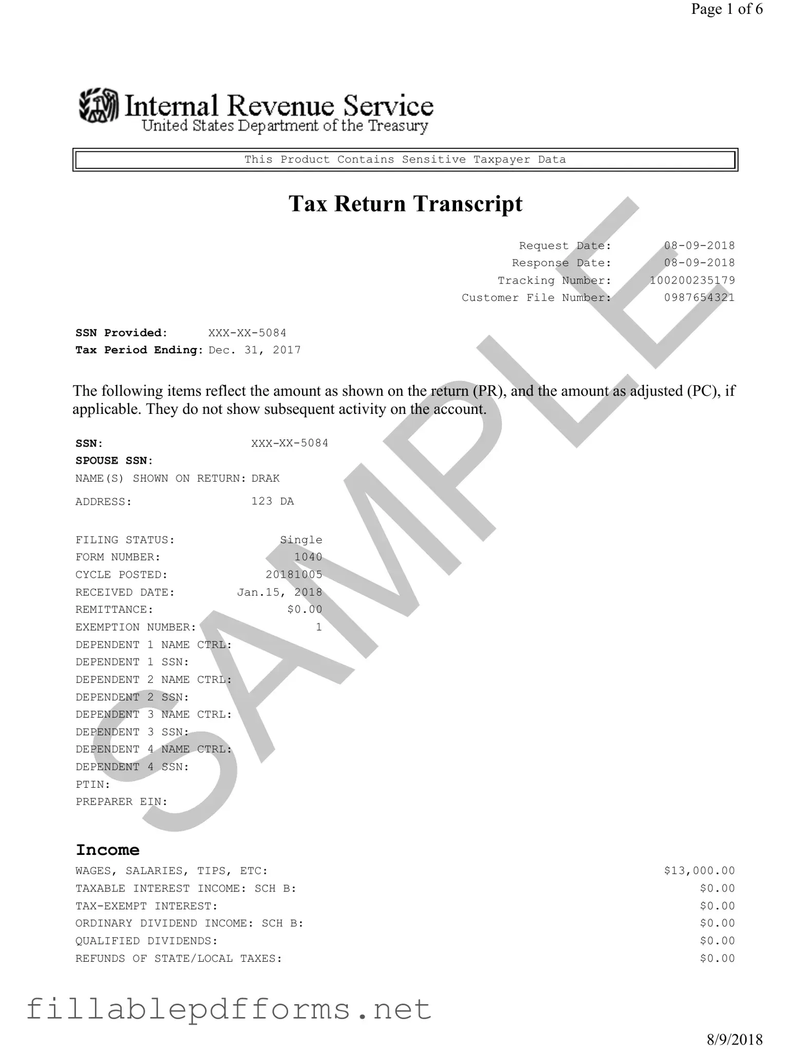 Sample Tax Return Transcript PDF Template