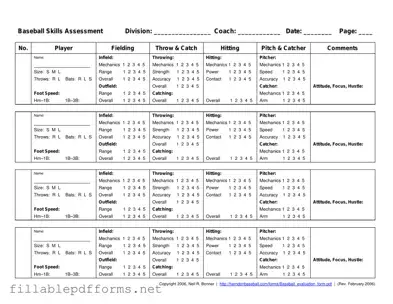 Baseball Assessment PDF Template