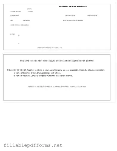 Auto Insurance Card PDF Template