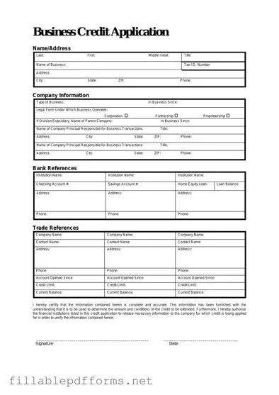 Business Credit Application PDF Template