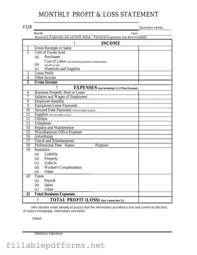 Profit And Loss PDF Template