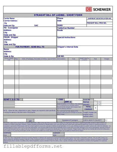 Straight Bill Of Lading PDF Template