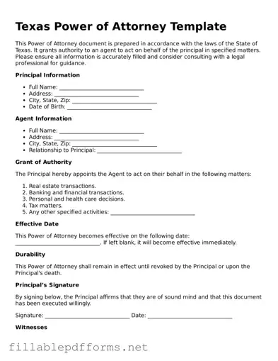 Attorney-Verified Power of Attorney Form for Texas State