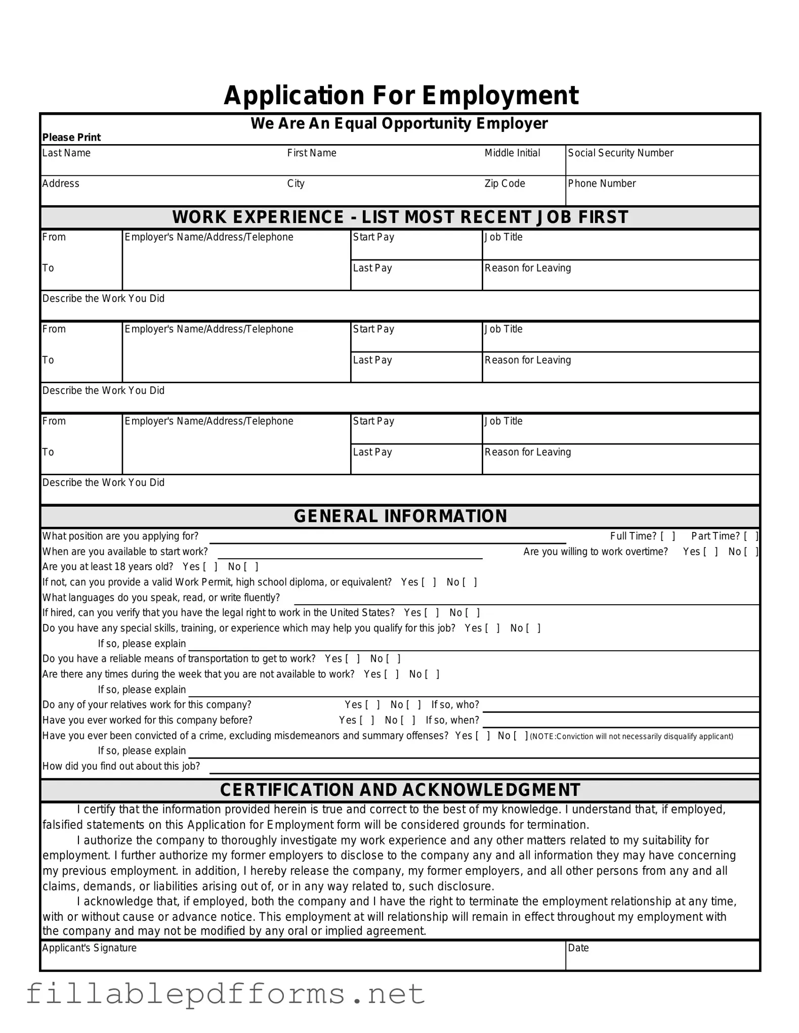 Spanish Application Employment PDF Template